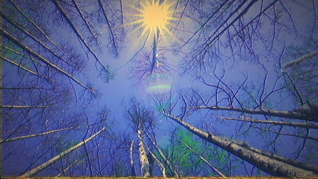 Cologne: artificial (Labajura Remix)