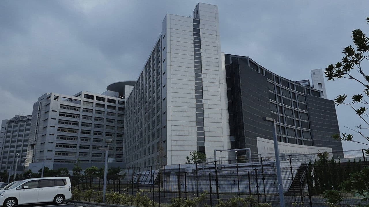 Looking for the Wolf: East Asia Anti-Japan Armed Front