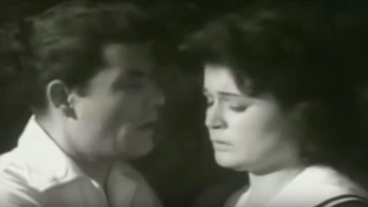 Bufakkar filli nassini