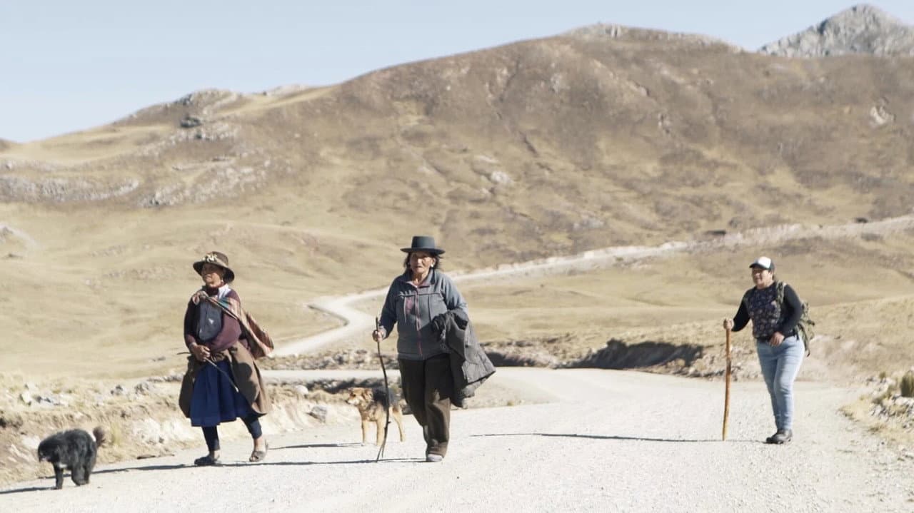 Este fue nuestro castigo