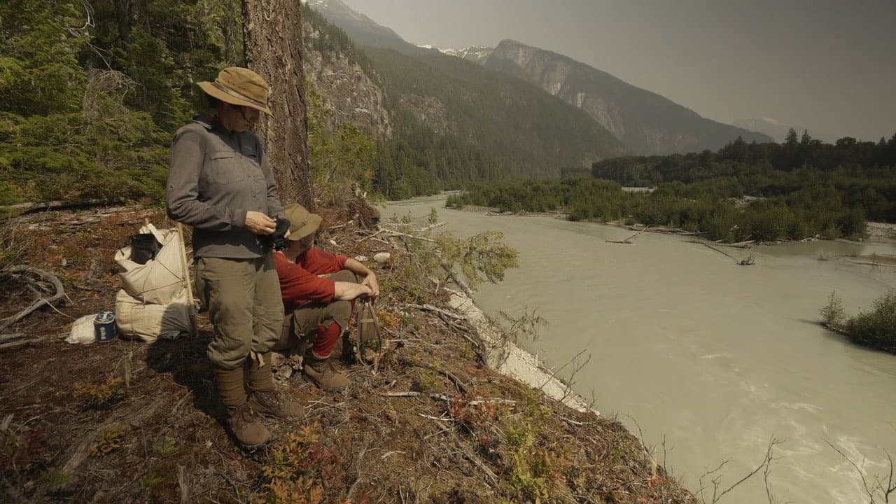 The Mystery Mountain Project