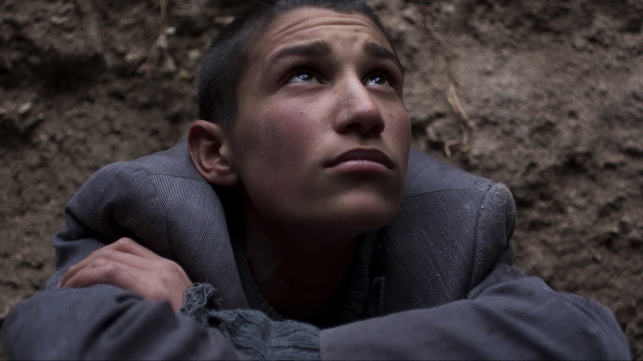 Empire of the Rabbits