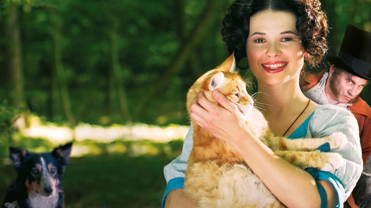 Die Bremer Stadtmusikanten