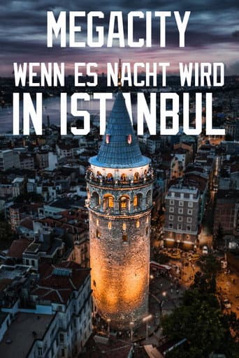 Megacity: When Night Falls in Istanbul