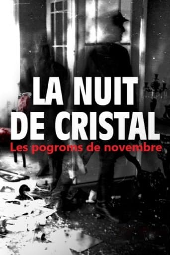 La Nuit de cristal : Les pogroms de novembre