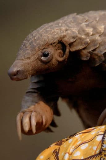 Wild Hope: Pangolin Protectors