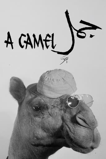 A Camel