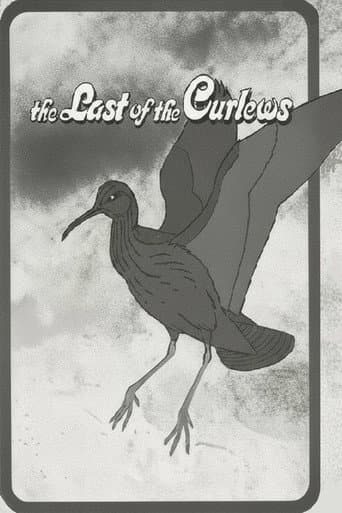 The Last of the Curlews