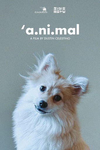 'a.ni.mal