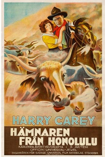 The Outlaw and the Lady