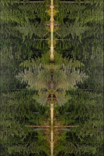 Mirrorpond