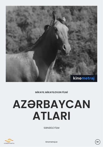 Azerbaijani Horses