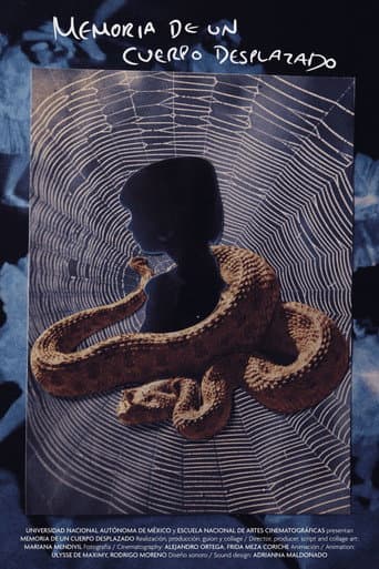 Memory of a Displaced Body