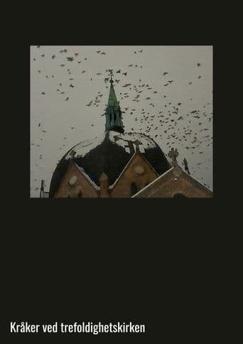 Crows at Trinity Church