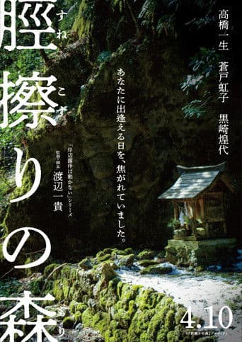The Forest of Sunekosuri