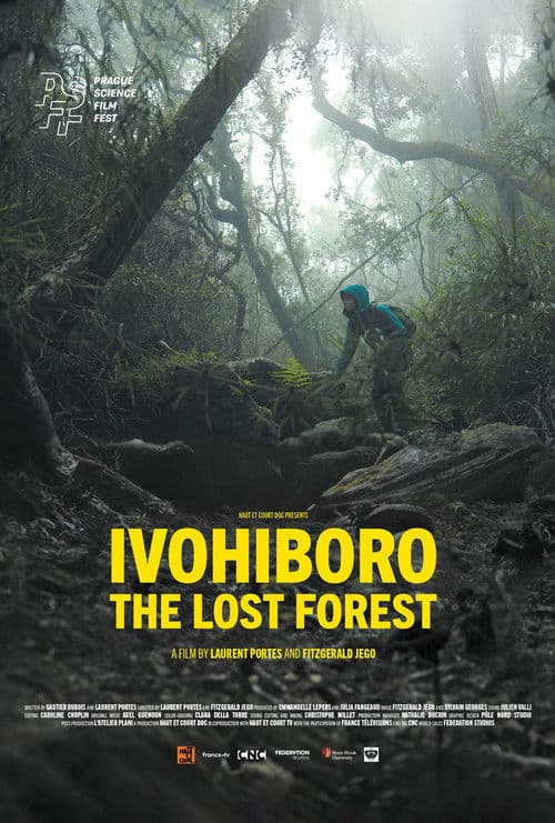 Ivohiboro, The Lost Forest