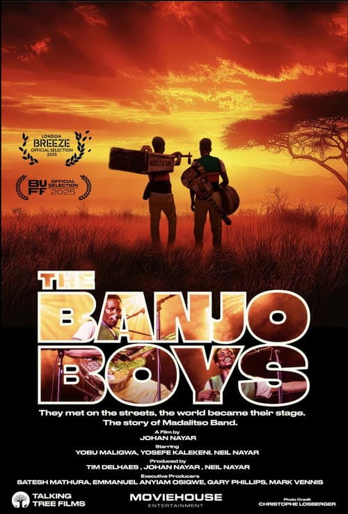 The Banjo Boys