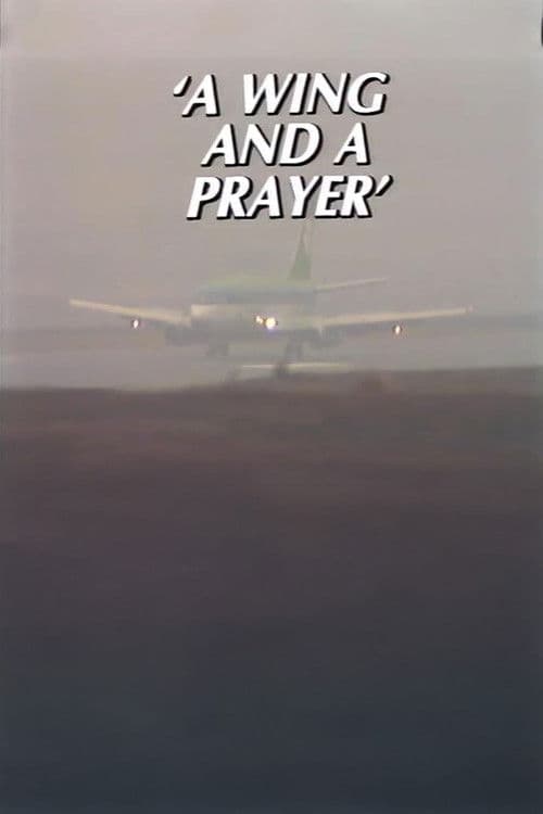 A Wing and a Prayer – The Story of Knock Airport