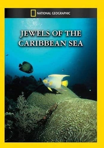 Jewels of the Caribbean Sea