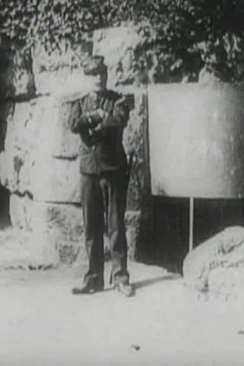 The Hierarchies of Love