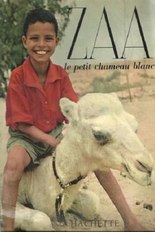 Zaa, the Little White Camel