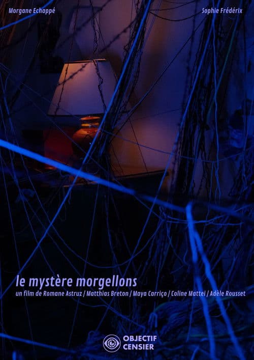 The Mystery of Morgellons