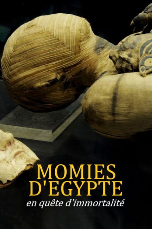Momies d'Egypte, en quête d'immortalité
