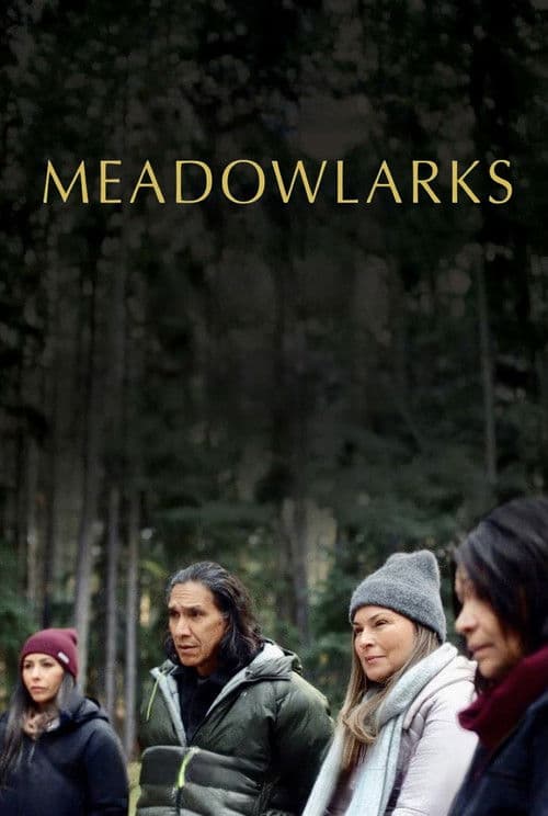 Meadowlarks