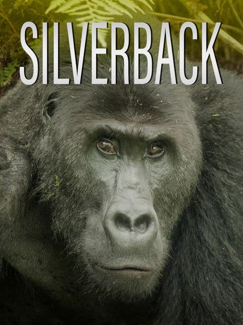 Silverback