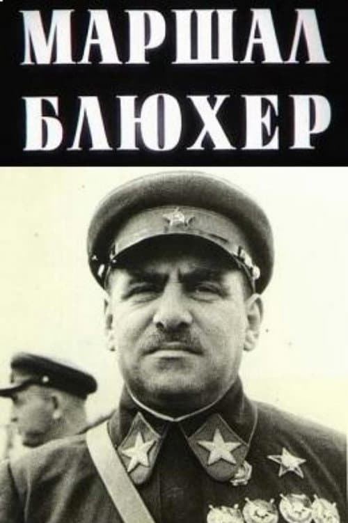 Marshal Blucher: A Portrait Against the Background of an Epoch