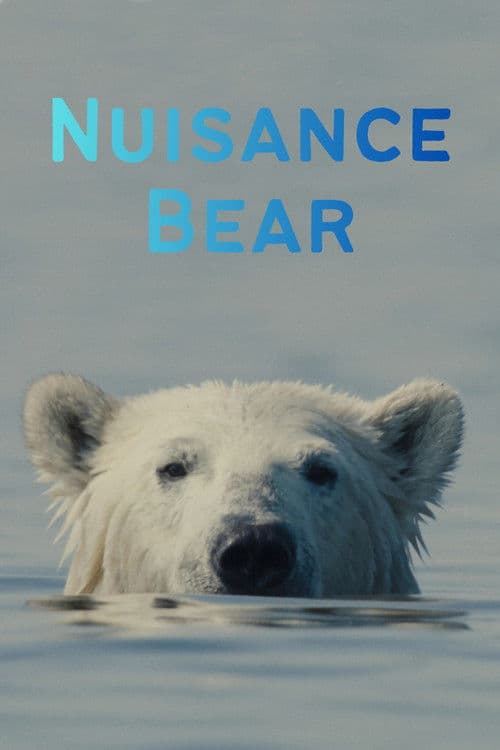 Nuisance Bear