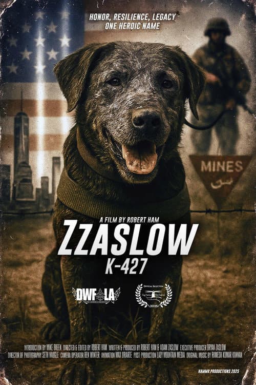 Zzaslow K-427