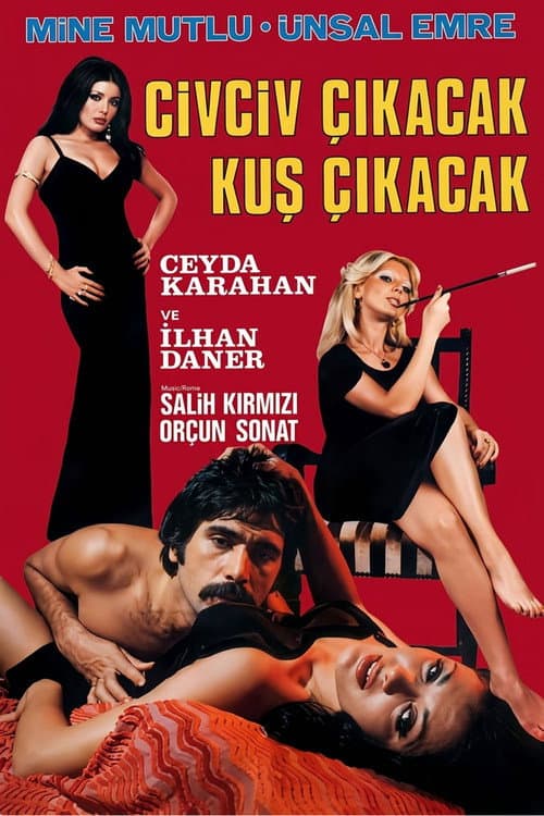 Civciv Çıkacak Kuş Çıkacak