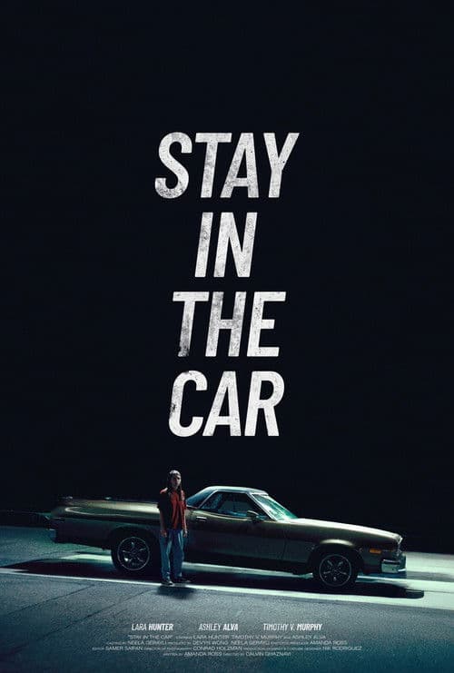 Stay in the car