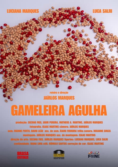 Gameleira Agulha