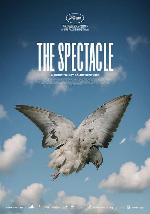 The Spectacle