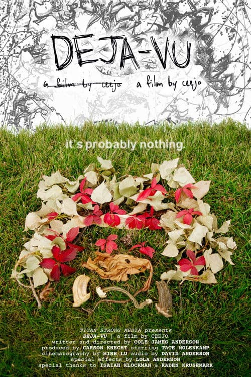 DEJA-VU