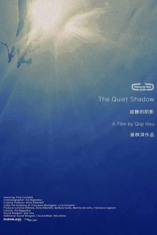 The Quiet Shadow