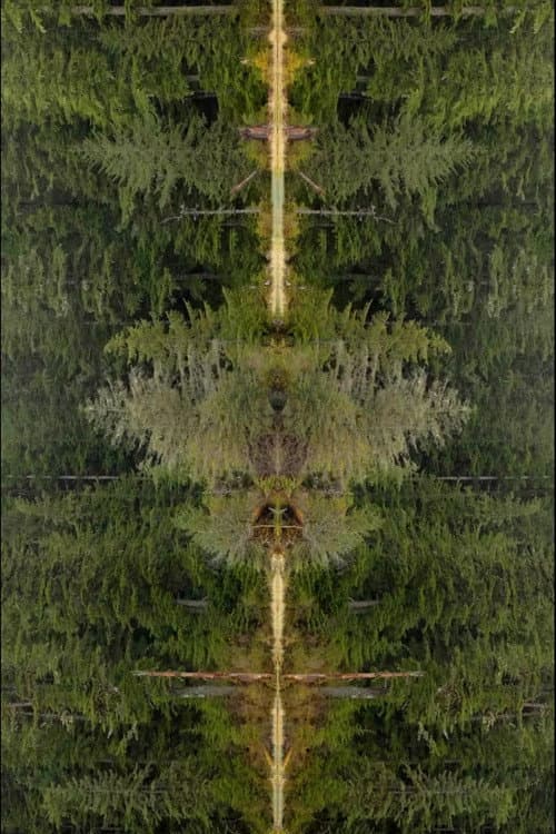 Mirrorpond