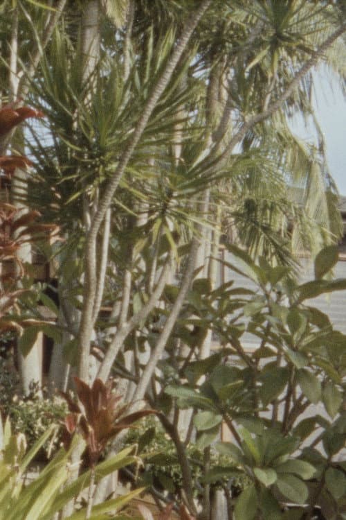 The Deceptively Simple Need for a Home (on Other People’s Land)