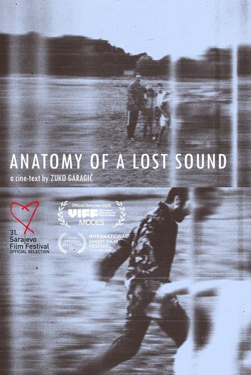 Anatomy of a Lost Sound