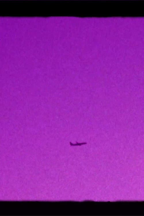 Shoegazer's Brown Eye Reverie