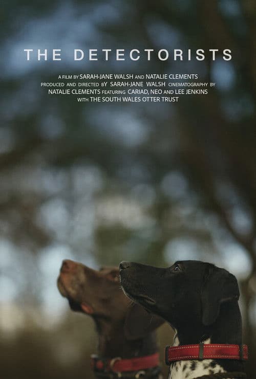The Detectorists