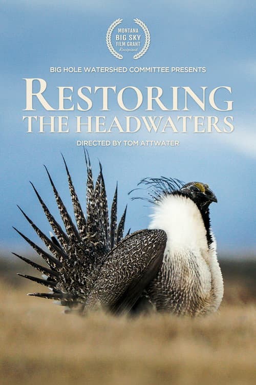 Restoring the Headwaters